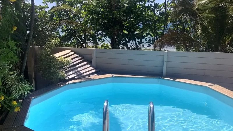 Studio Tortue Imbriquée