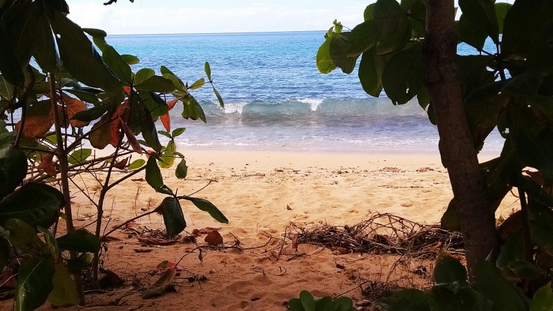 Duplex Tortue Kawane