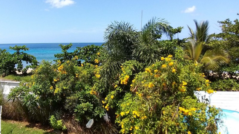 Duplex Tortue Kawane